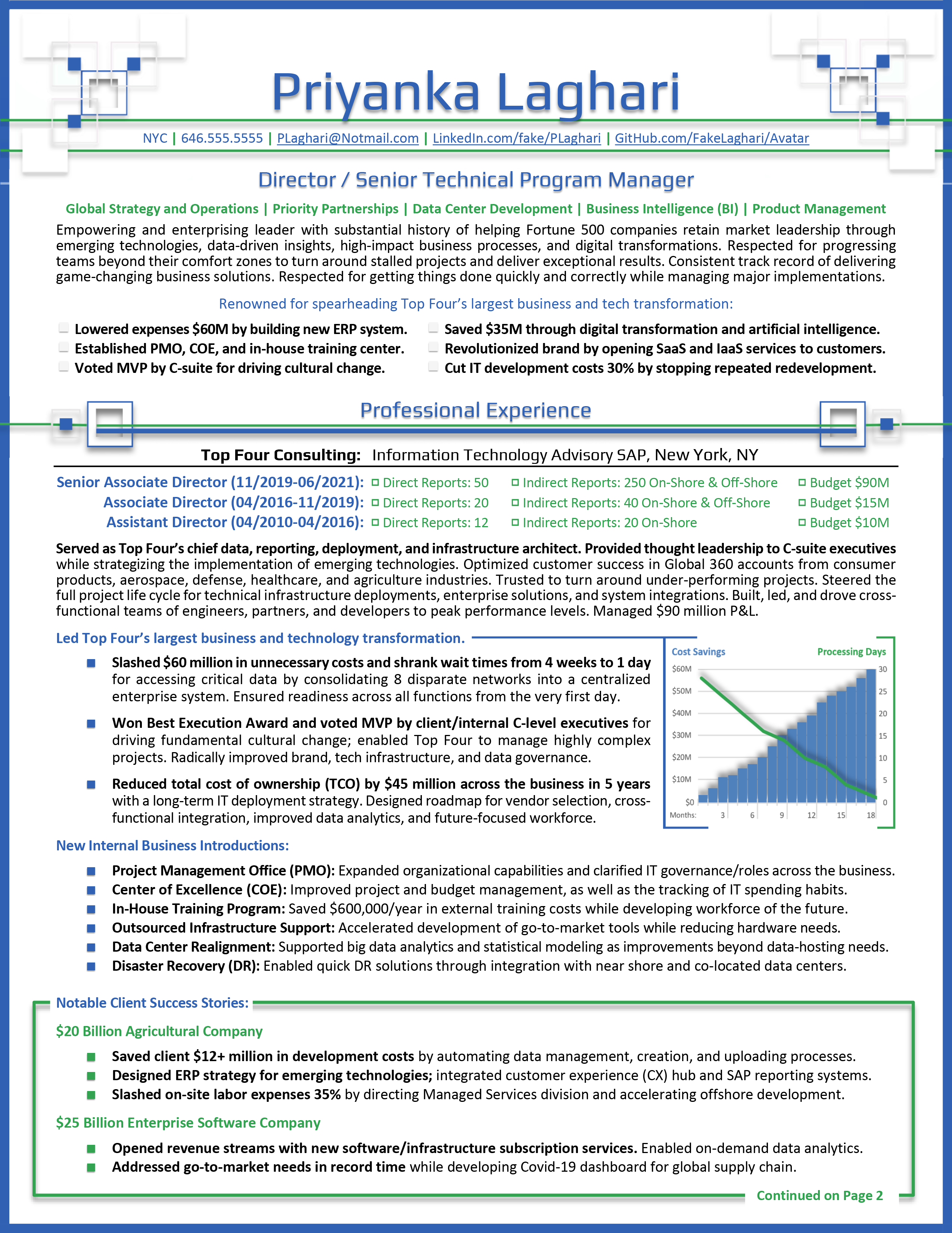 Technical Program Manager Resume Sample