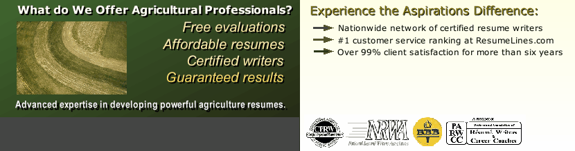 resume writing services