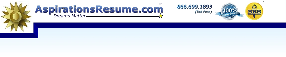 resume writing service