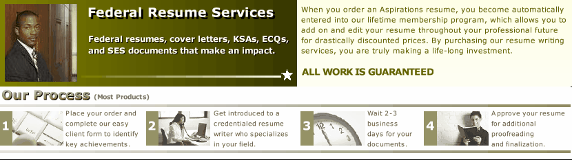 professional resume writer