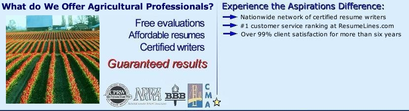 resume writing services