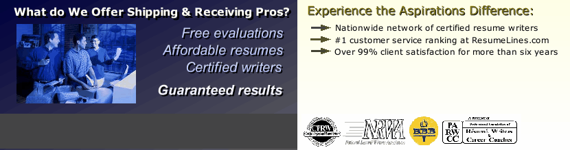resume writing services