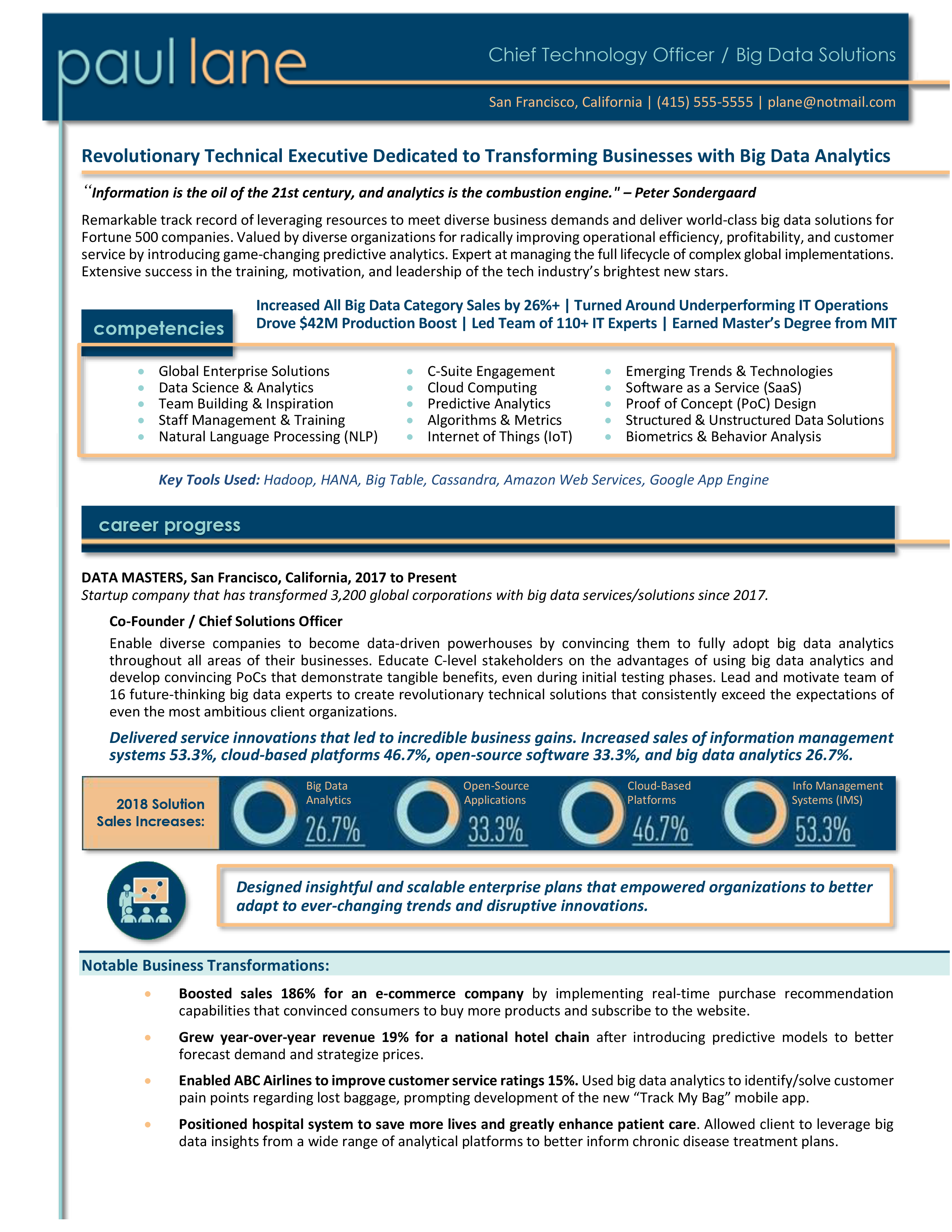 Big Data Executive Resume Example